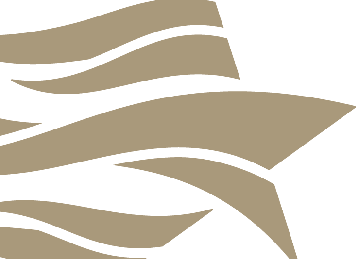 Communities Foundation of Texas